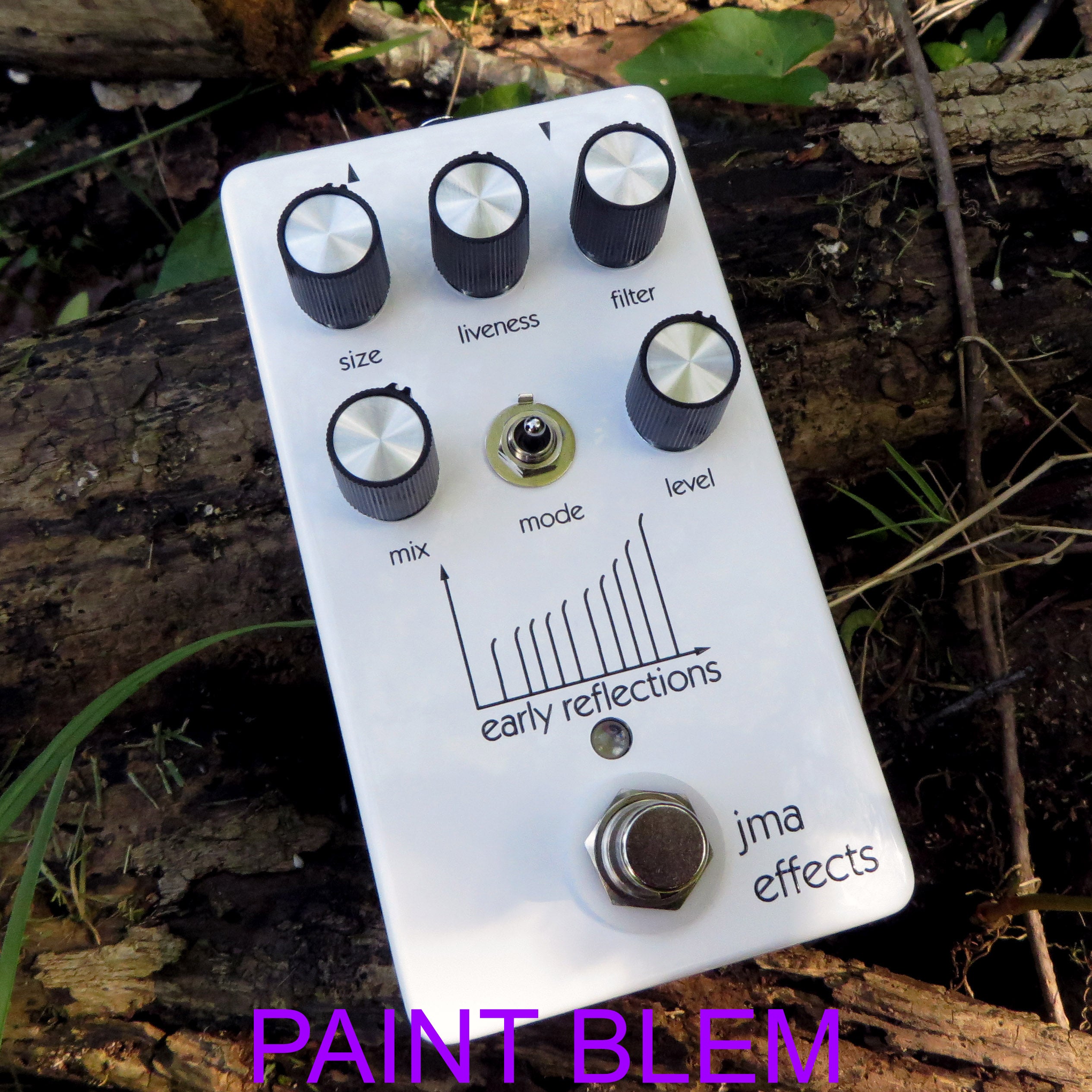 (TINY PAINT BLEMISH) Early Reflections Reverse Reverb