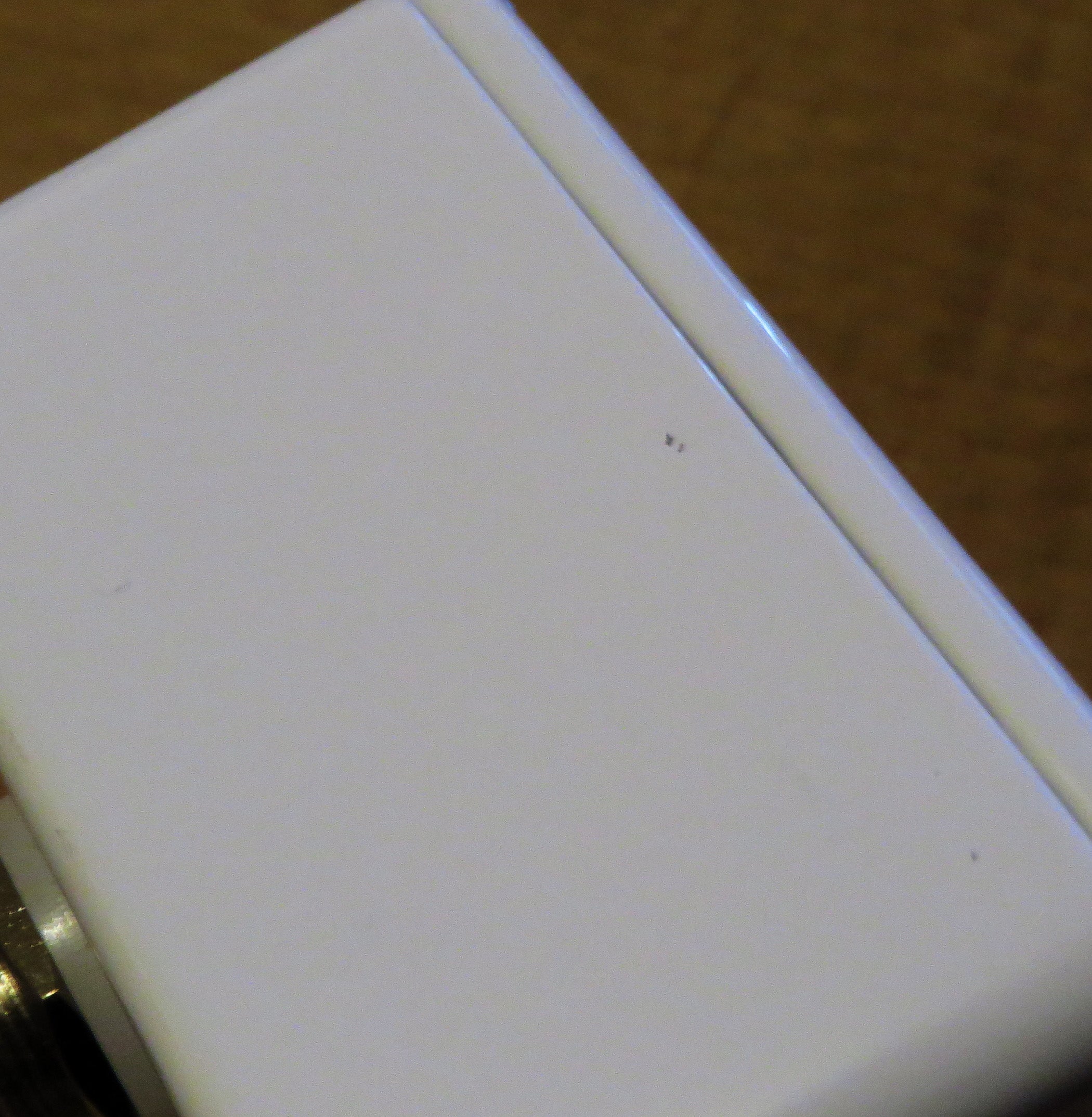 (TINY PAINT BLEMISH) Early Reflections Reverse Reverb